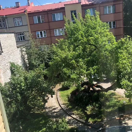 Allika Διαμέρισμα Ταλίν