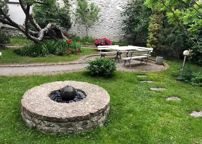 Allika Daire Tallinn